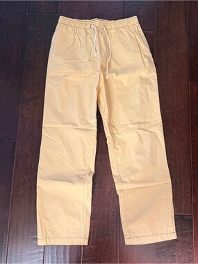 BDG PANTS